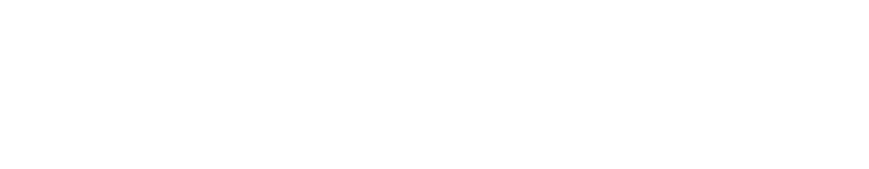 DKP-HOLDING
